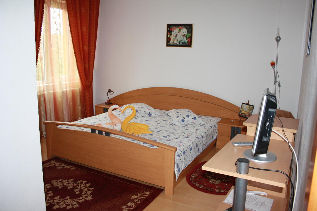 Pensiunea Claudiu Caransebes Room photo
